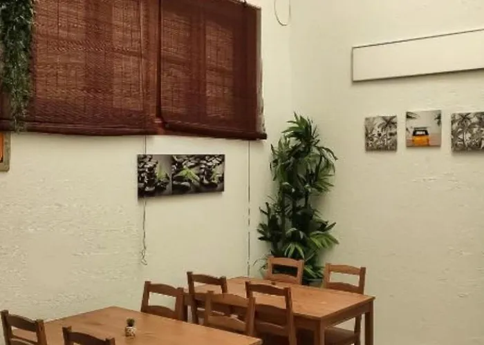 Alma Canaria Apartments&Rooms