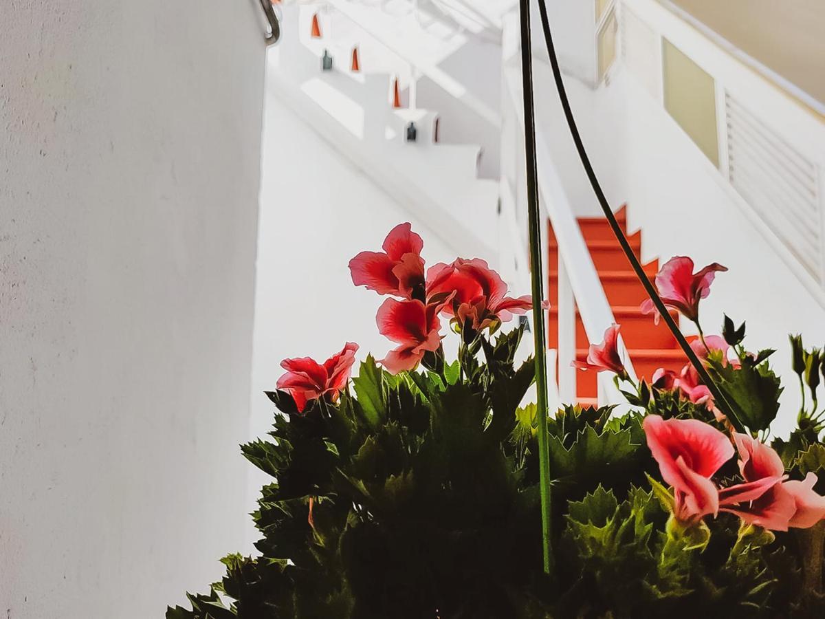 Guest house Alma Canaria Las Palmas de Gran Canaria